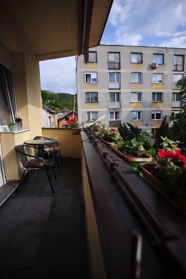 Apartman Nena Visegrad Bagian luar foto